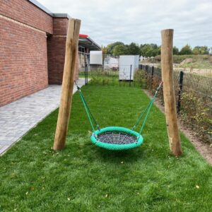 Vogelnest Mini Robinie